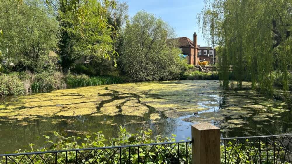 Manor Farm Ruislip - Photo