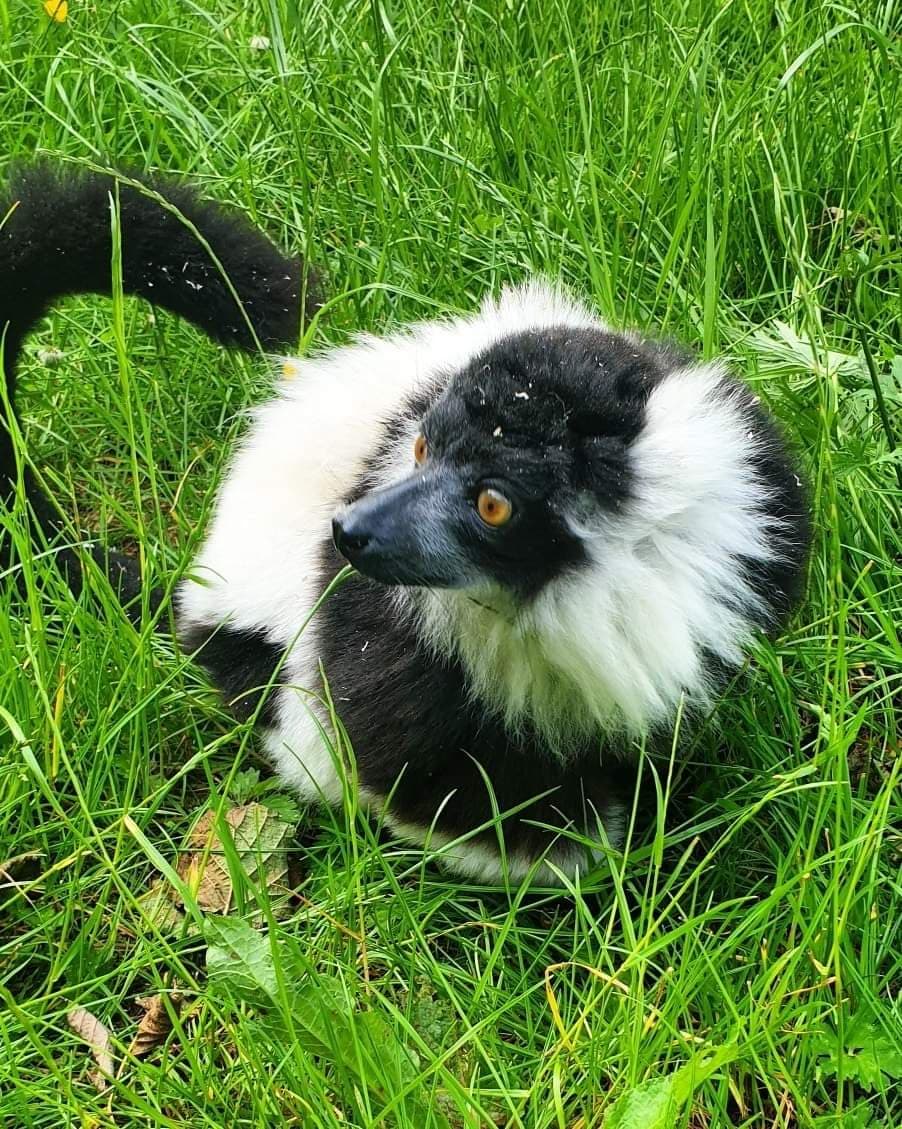 C&J's Animal Park - Photo