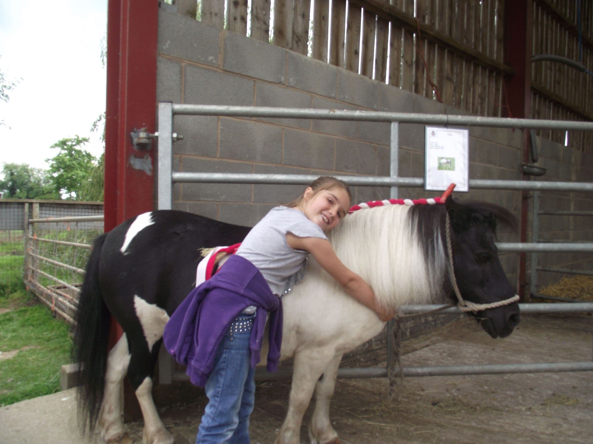 Cotebrook Shire Horse Centre - Photo