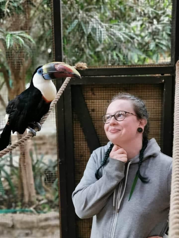 The Jungle Zoo - Photo