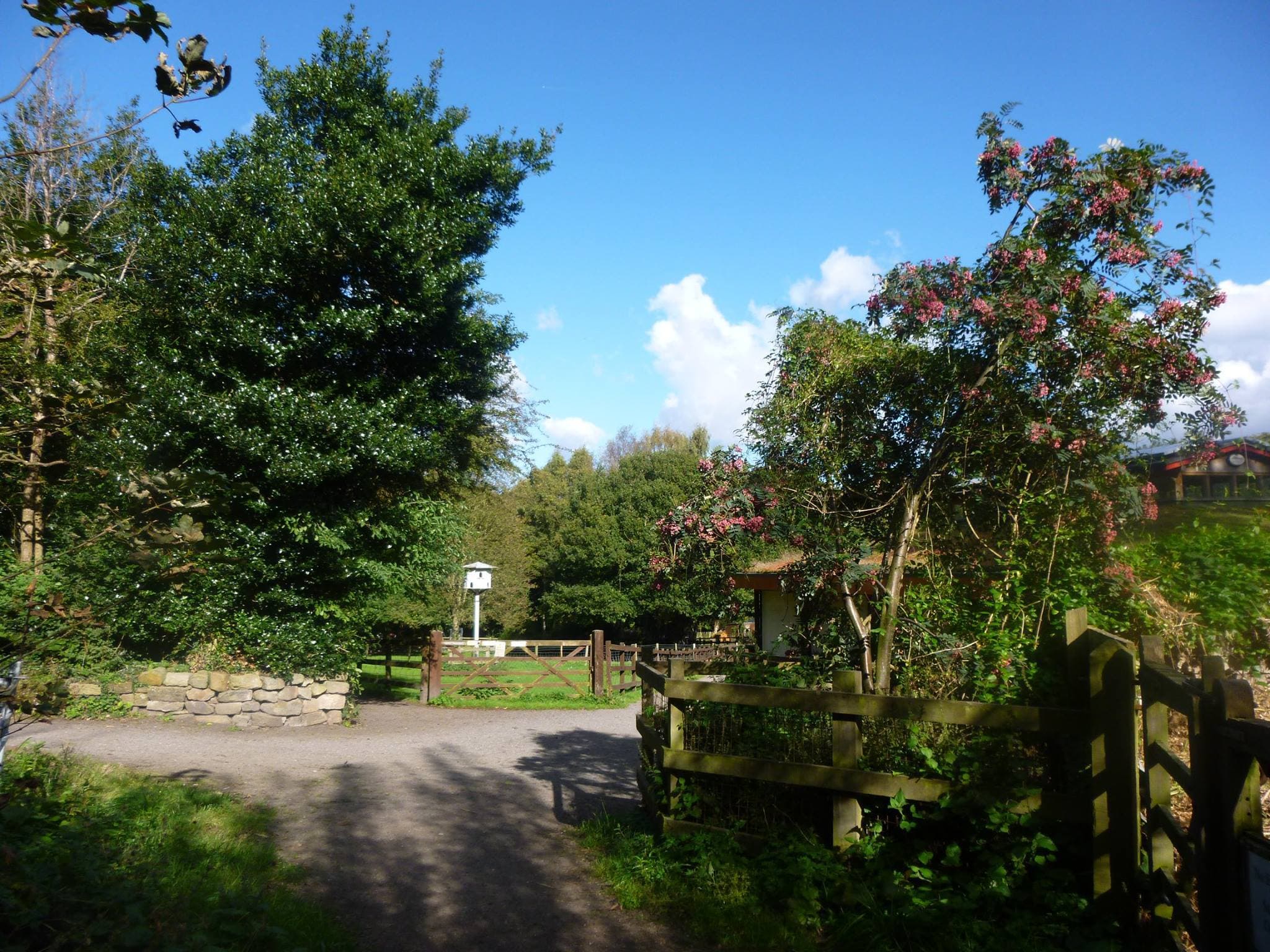 Tam O'Shanter Urban Farm
