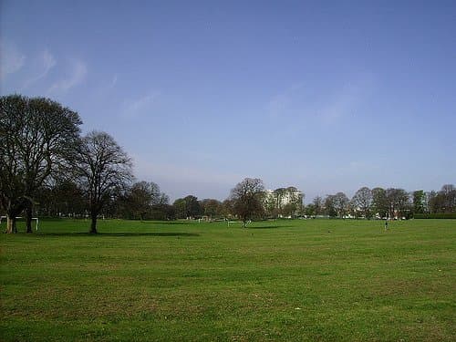 Ravenscraig Park - Photo
