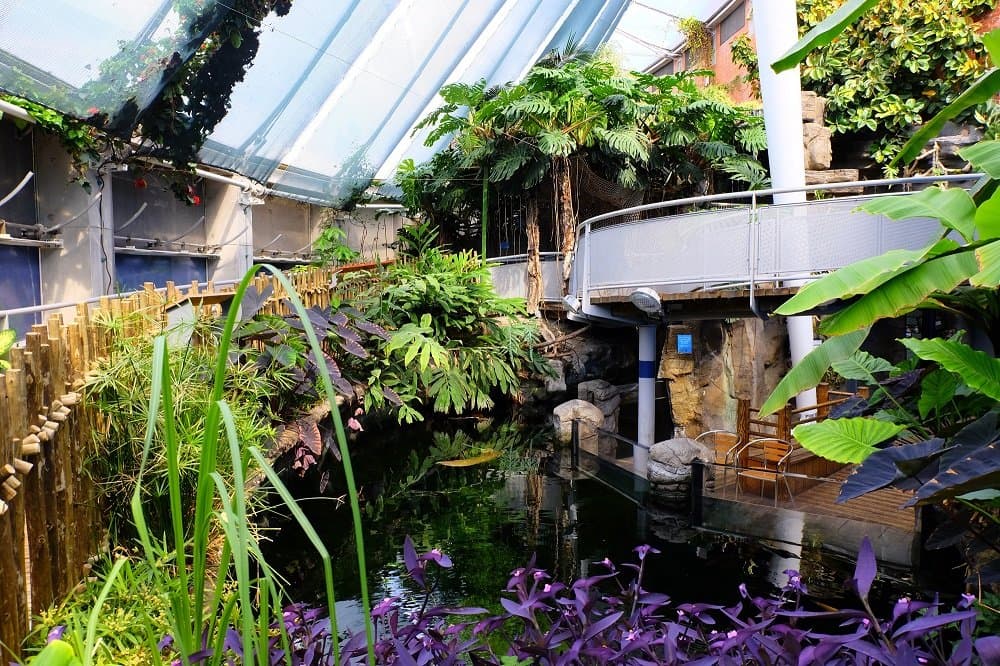 Bristol Aquarium - Photo