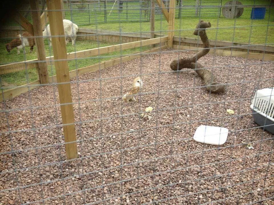 Paradise Found Educational Farm Park