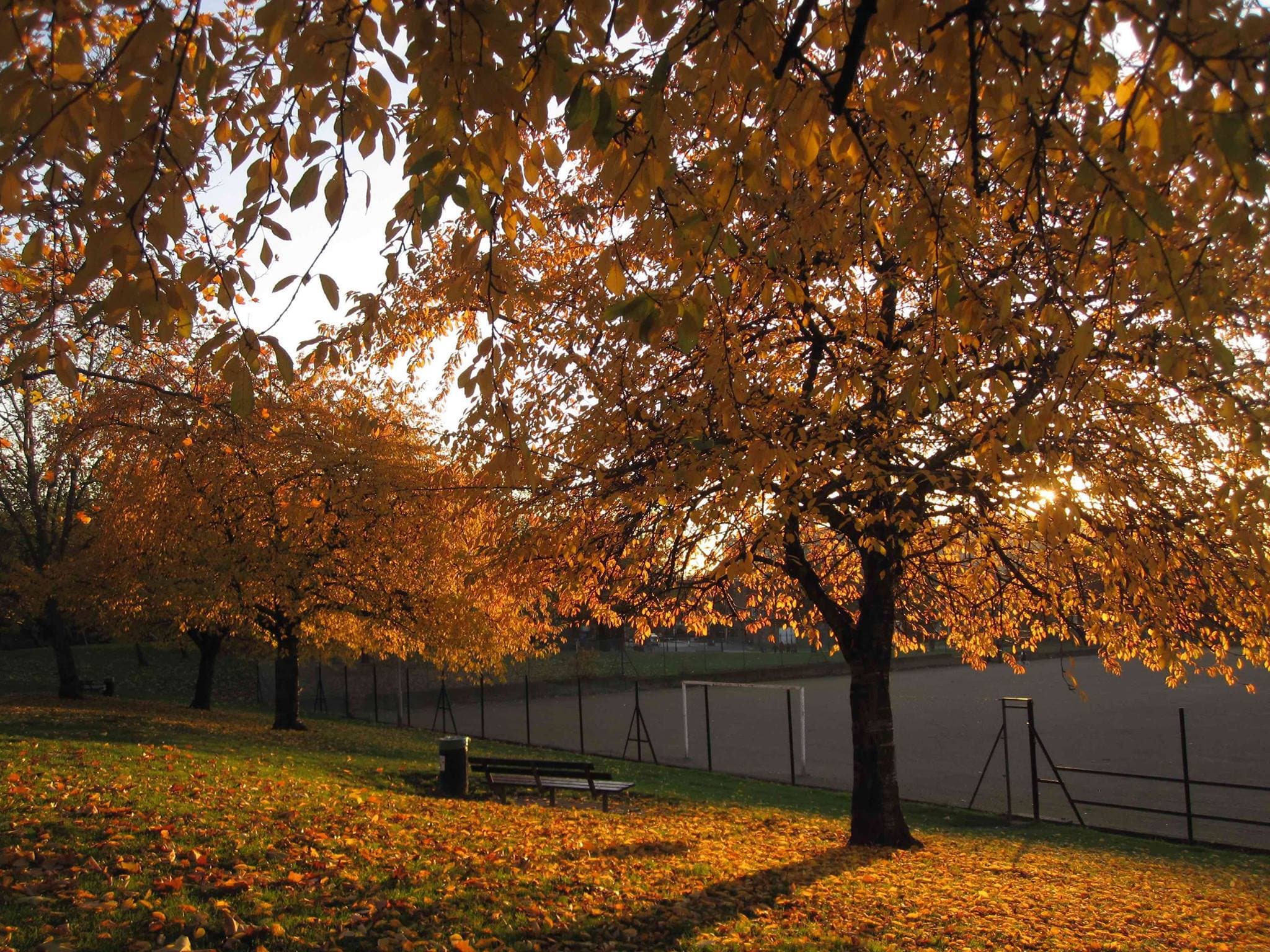 Barnard Park Adventure Playground - Photo