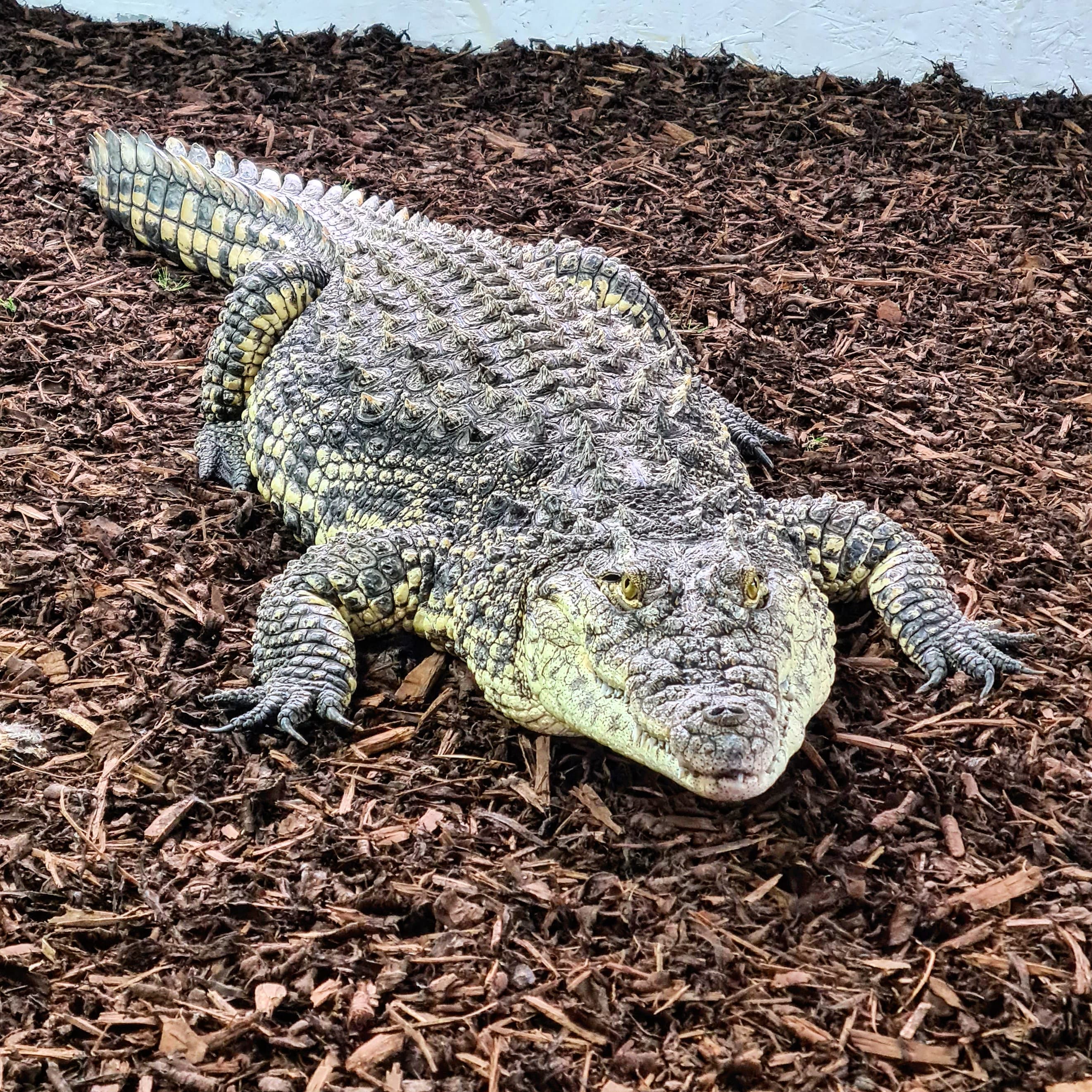 C&J's Animal Park - Photo