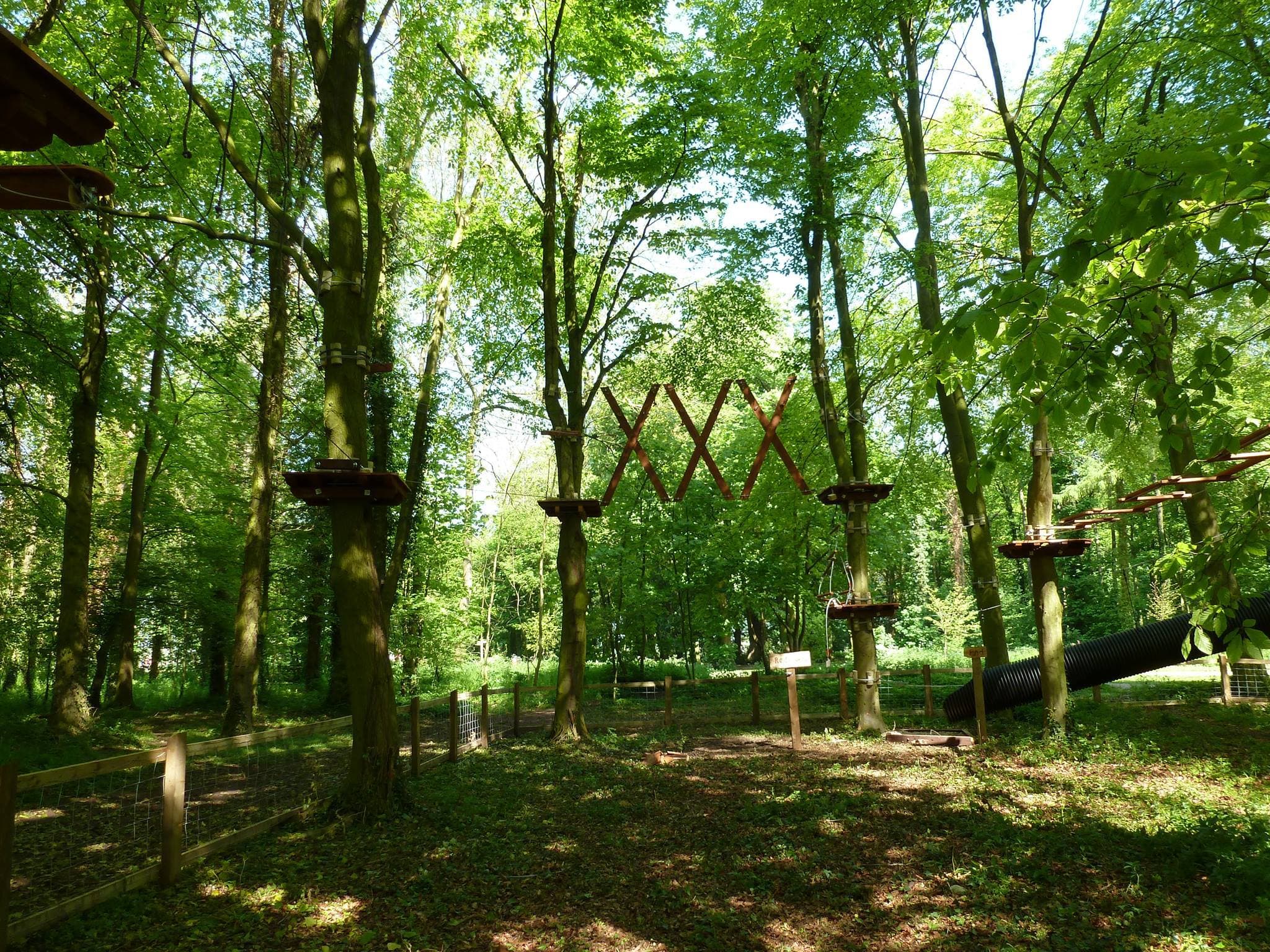 Jungle Parc Swindon - Photo