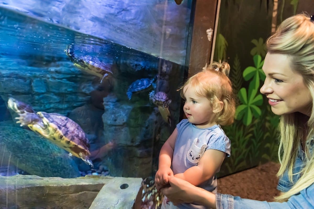 SEA LIFE Brighton - Photo
