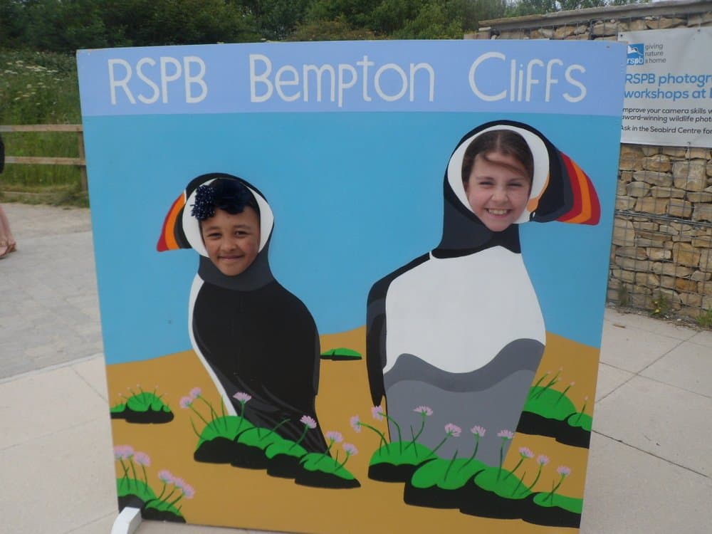 RSPB Bempton Cliffs - Photo