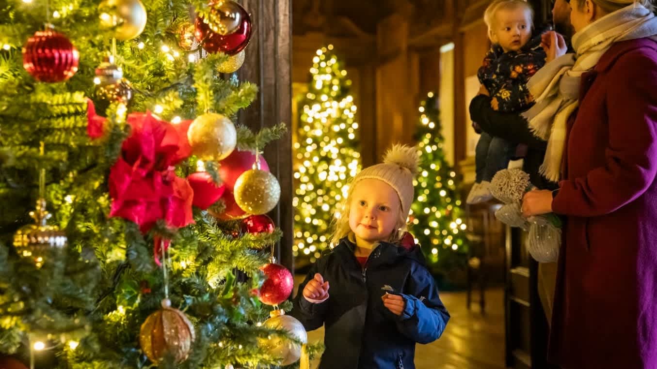 Tredegar House - National Trust - Photo