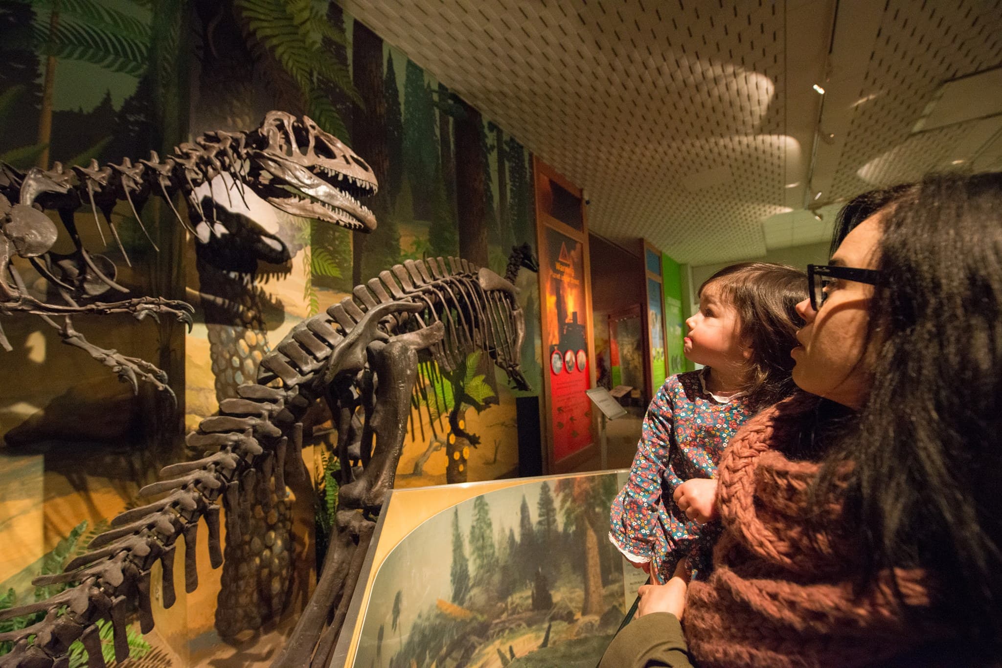 World Museum Liverpool - Photo