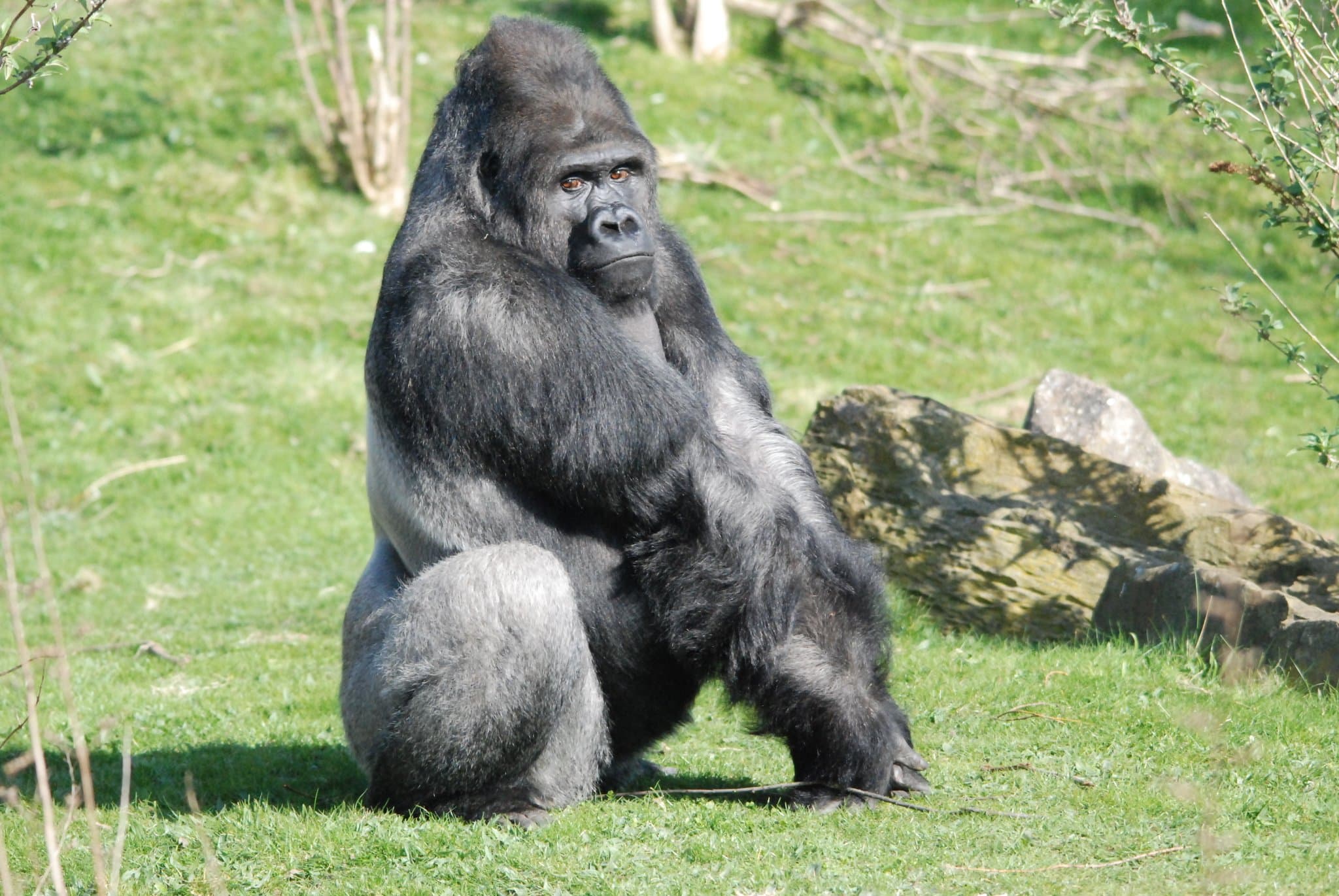 Blackpool Zoo - Photo