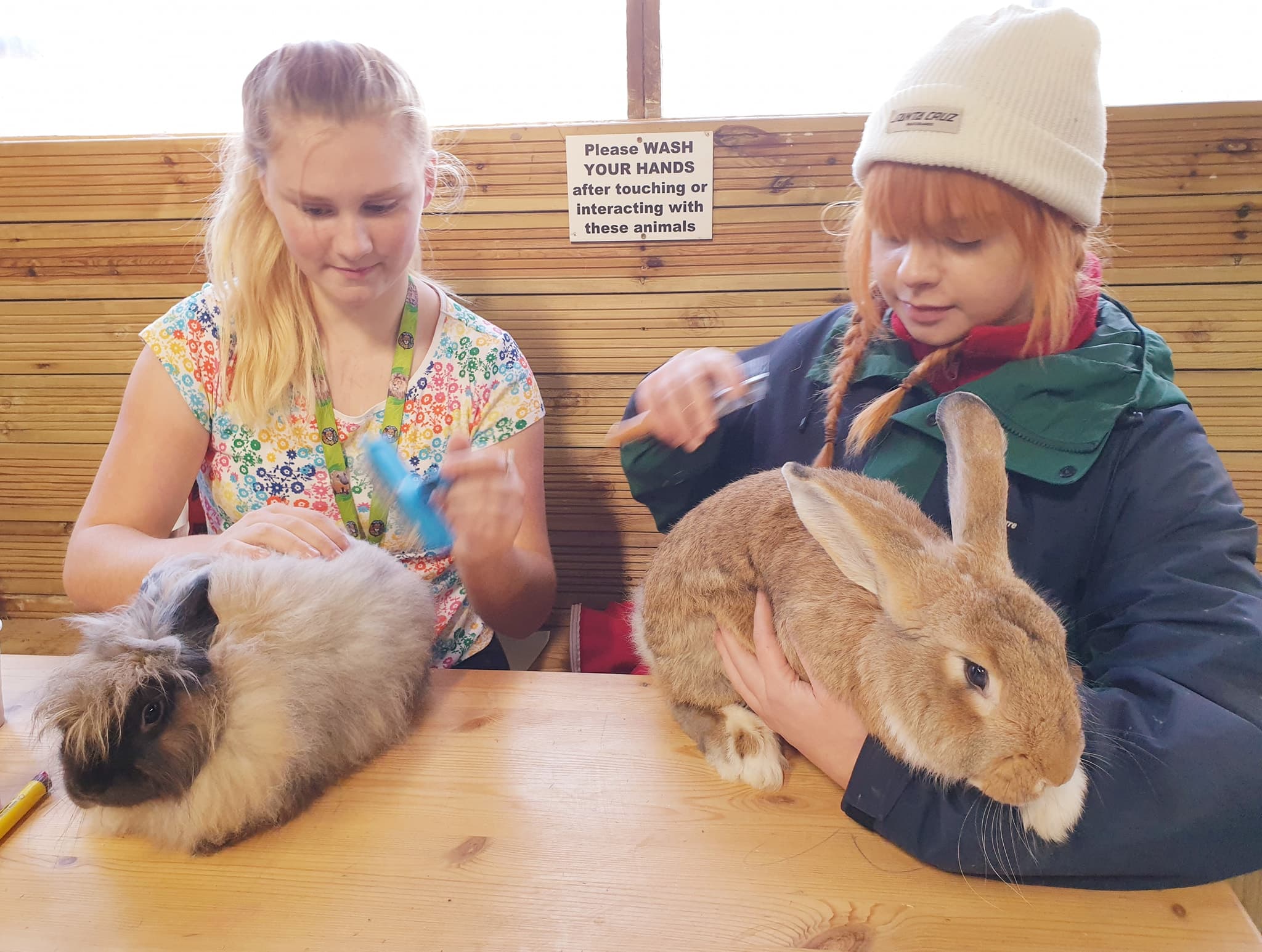 Borth Animalarium - Photo