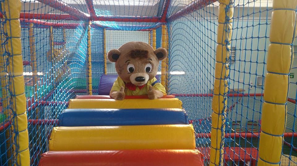 Darcy Bear
