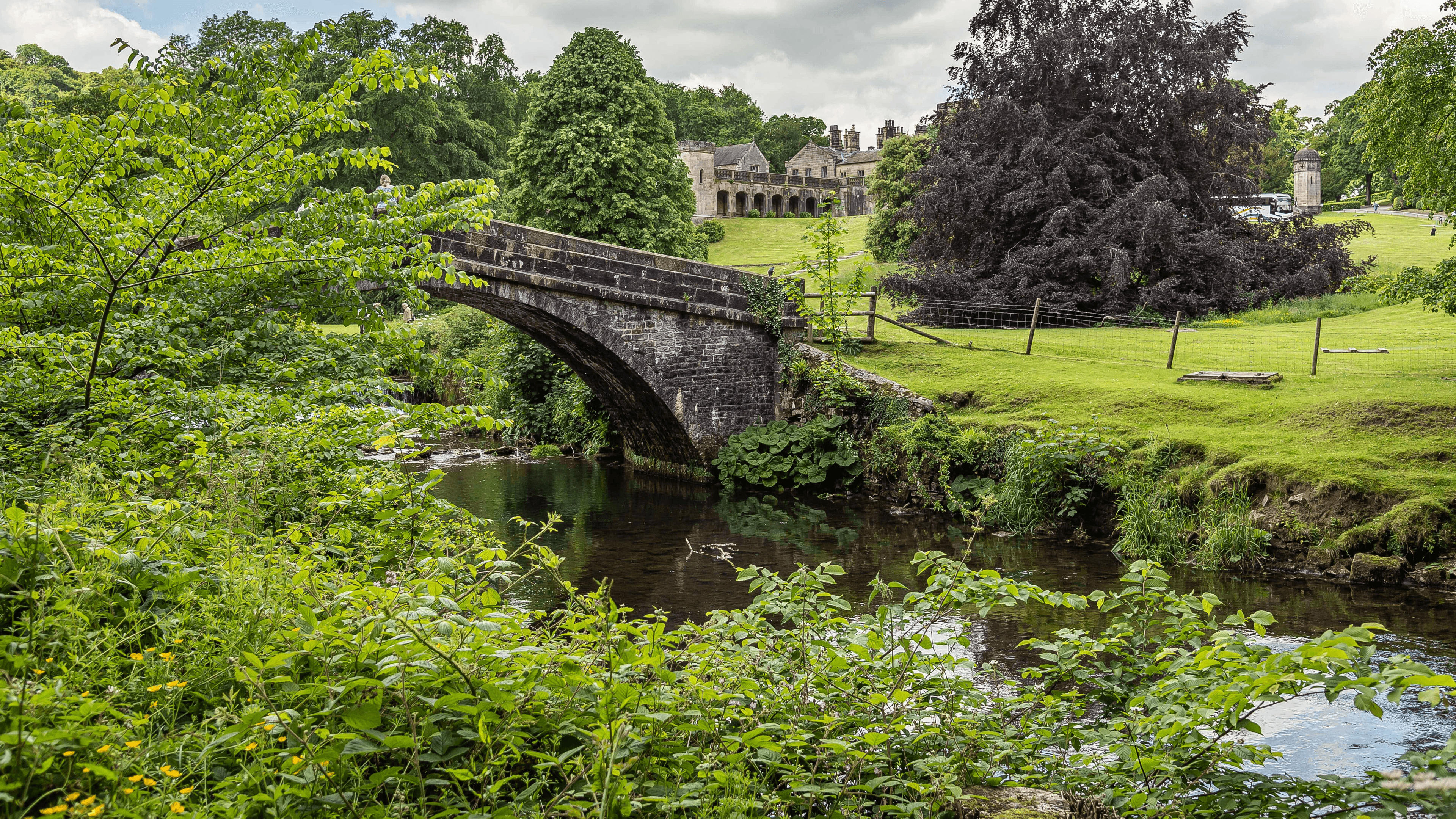 Ilam Park, Dovedale and the White Peak