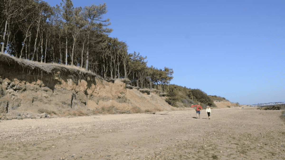 Cudmore Grove Country Park - Photo
