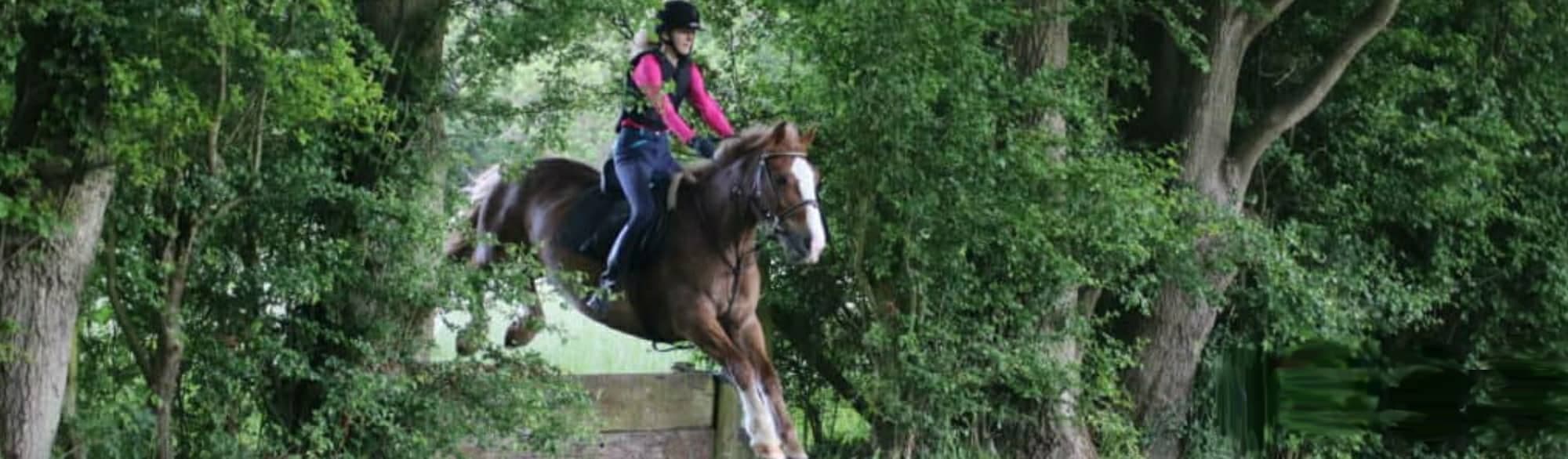 Riding Farm Equestrian Centre - Photo