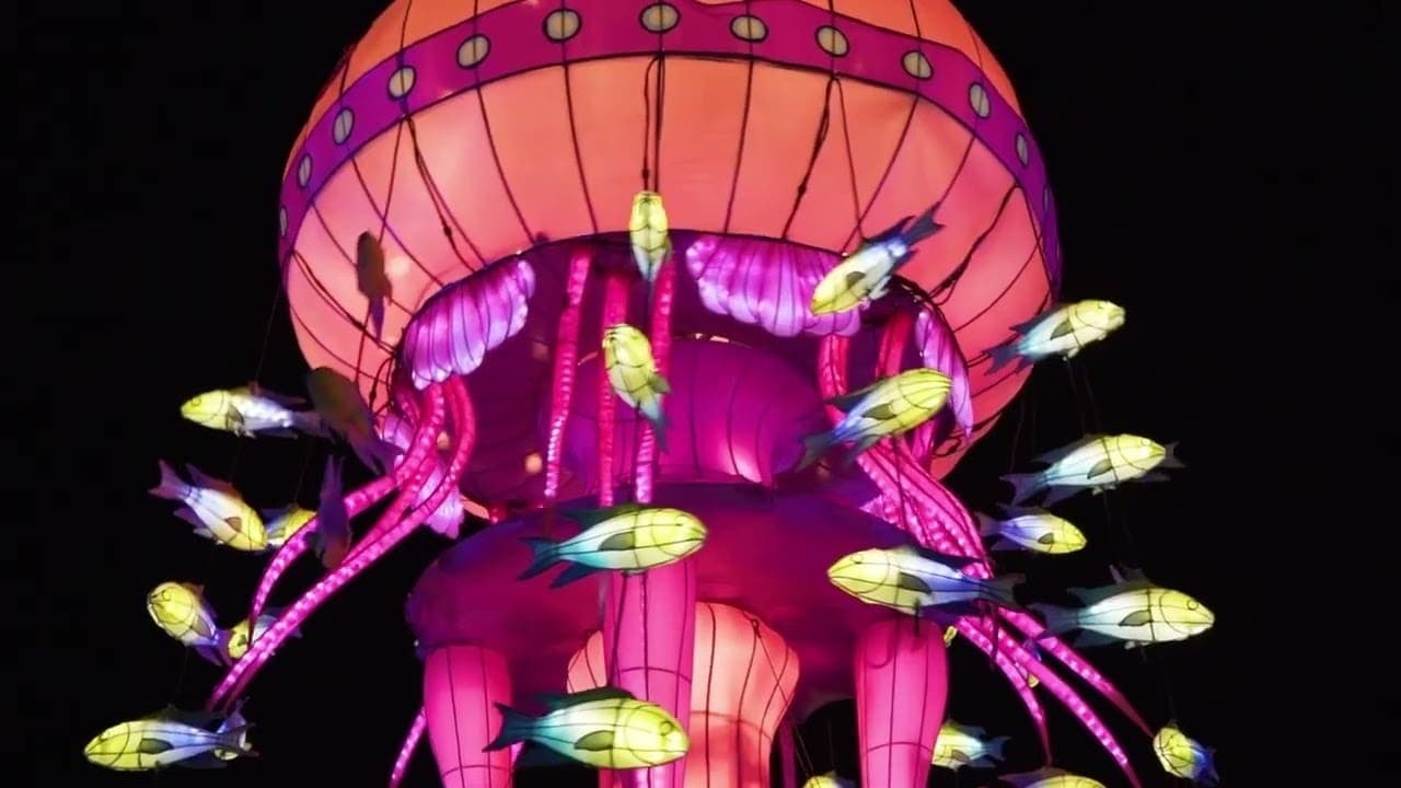 Land of Lights Warrington - Photo