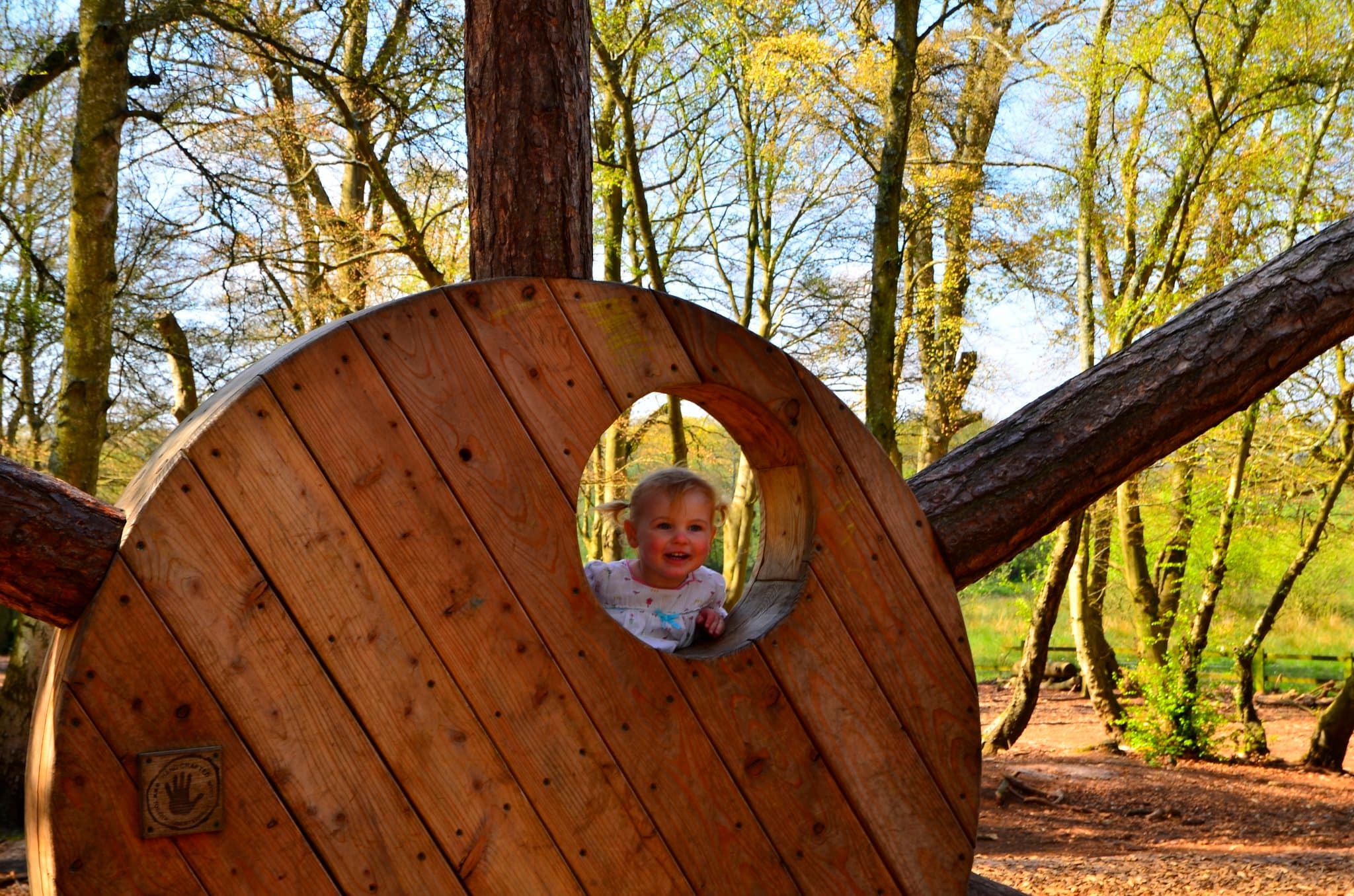 Upton Country Park - Photo 1