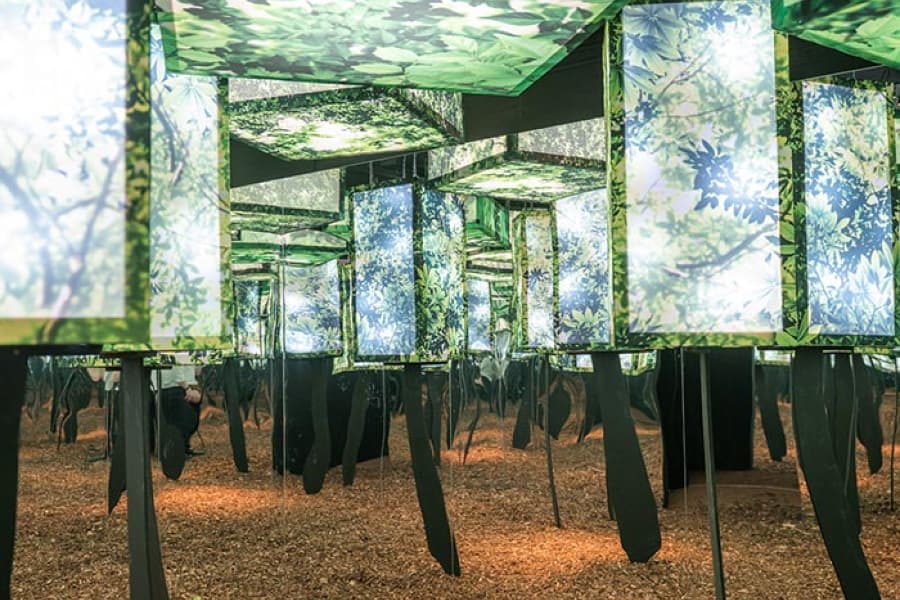 Dopamine Land: A Multisensory Experience - Photo