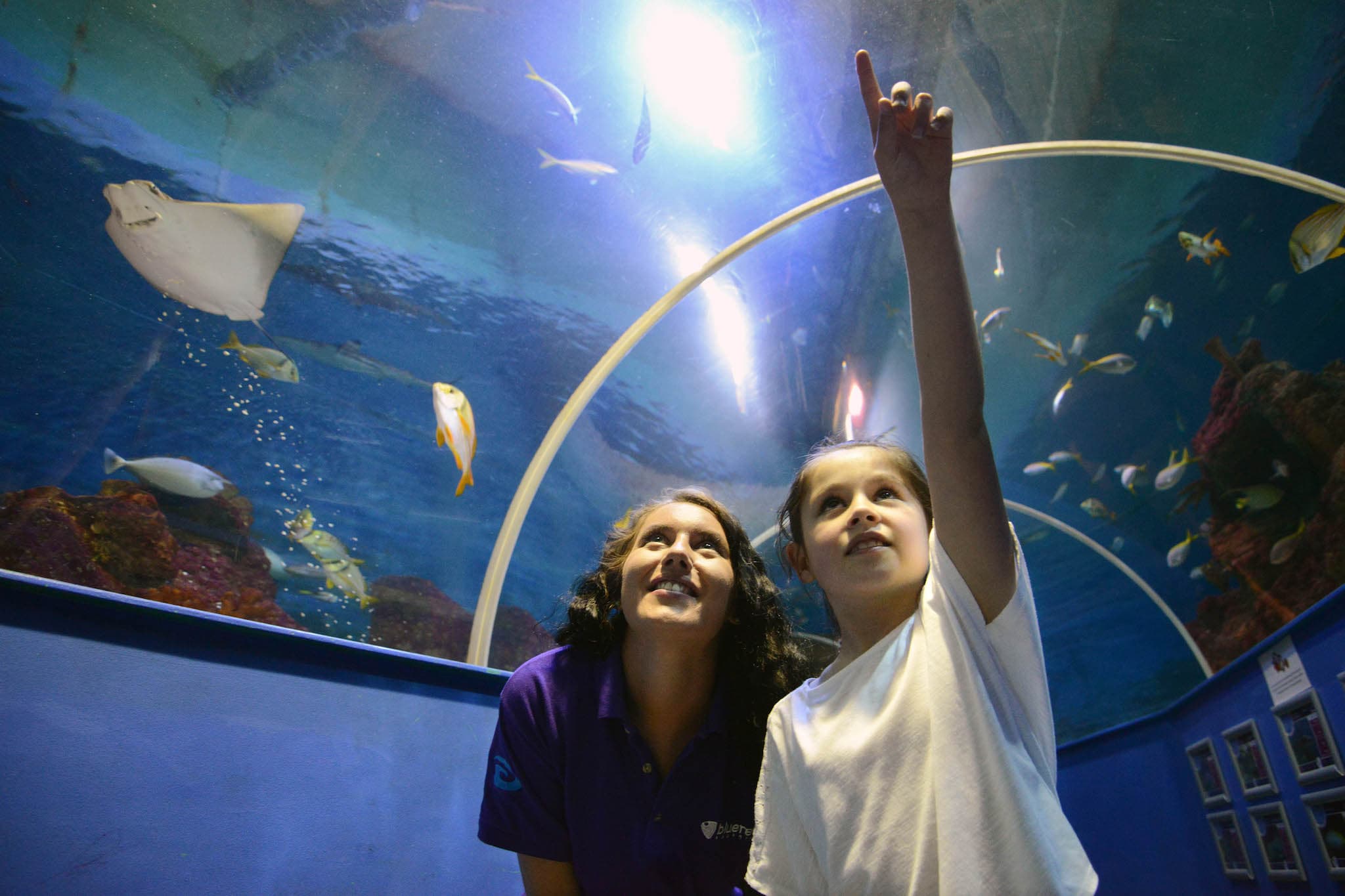 Tynemouth Aquarium - Photo