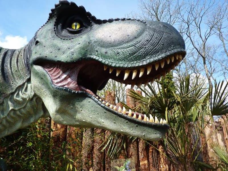 Dino Park - Photo