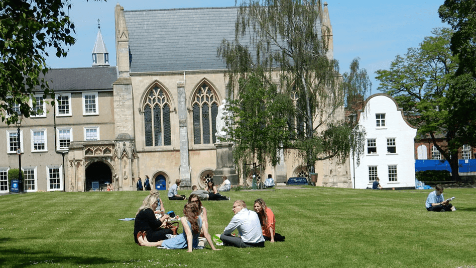 Curious About Norwich - Photo