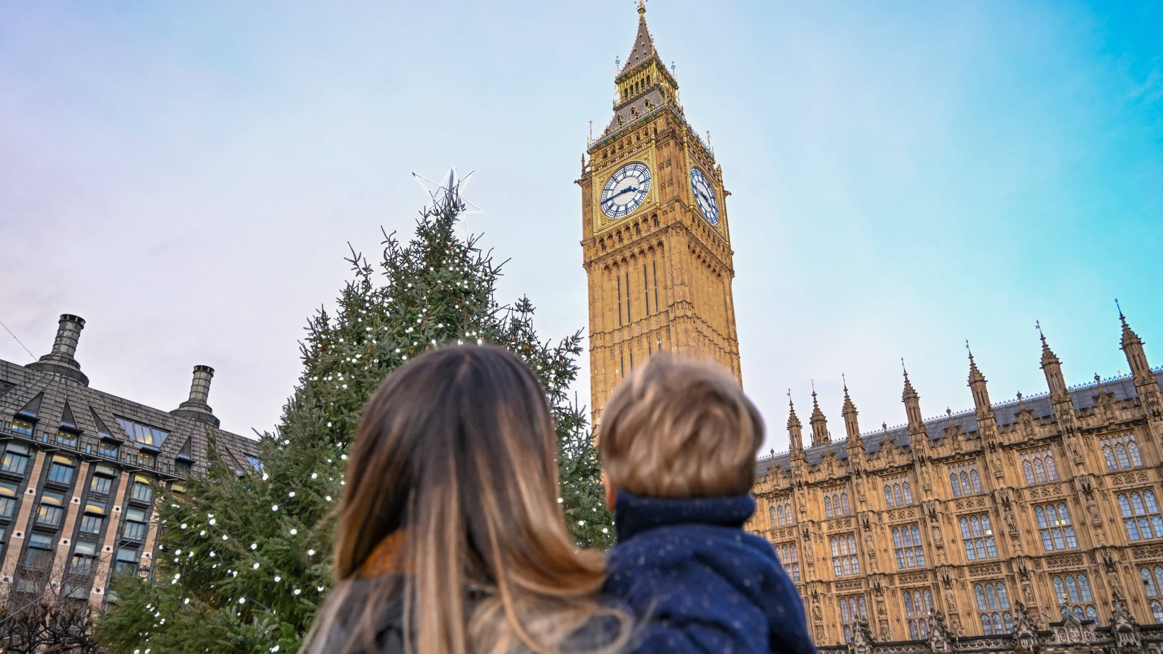 Houses of Parliament Tour