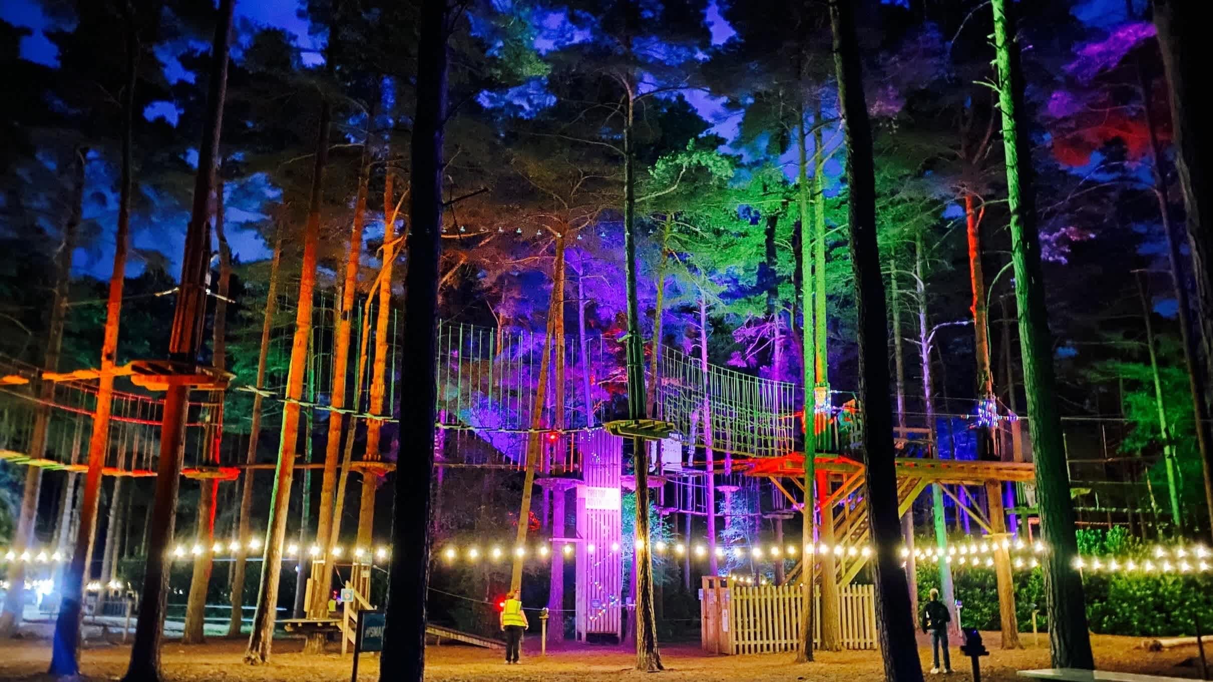 Go Ape Forest of Dean - Photo