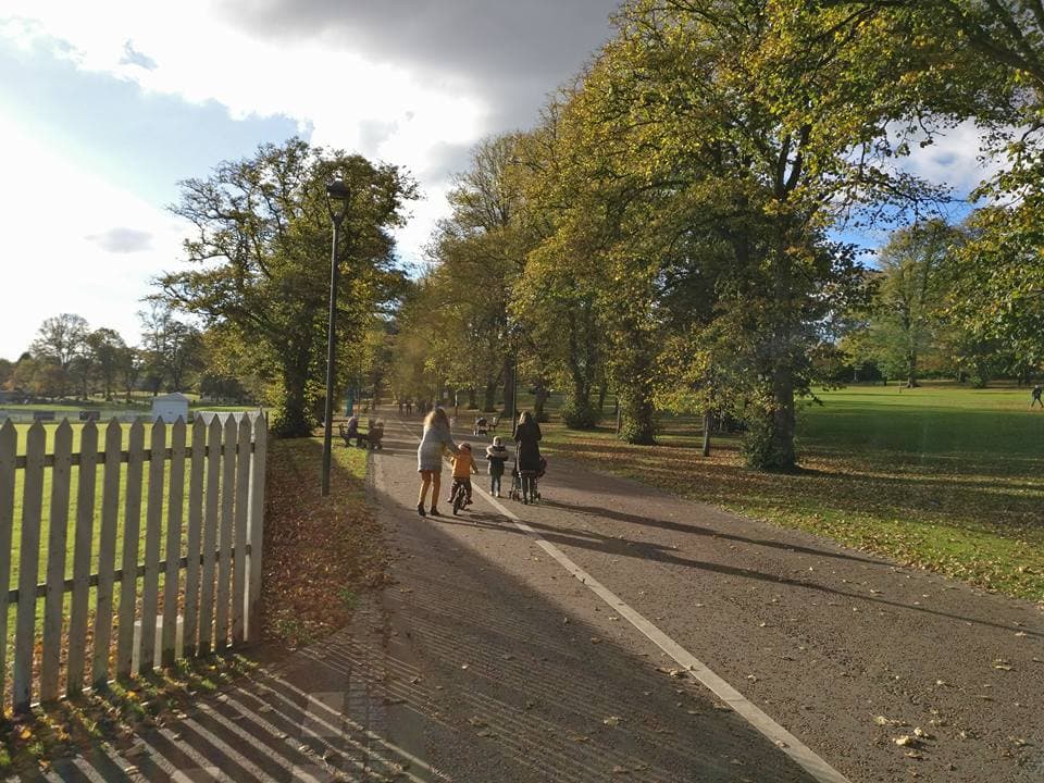 Wallace Park - Photo 1