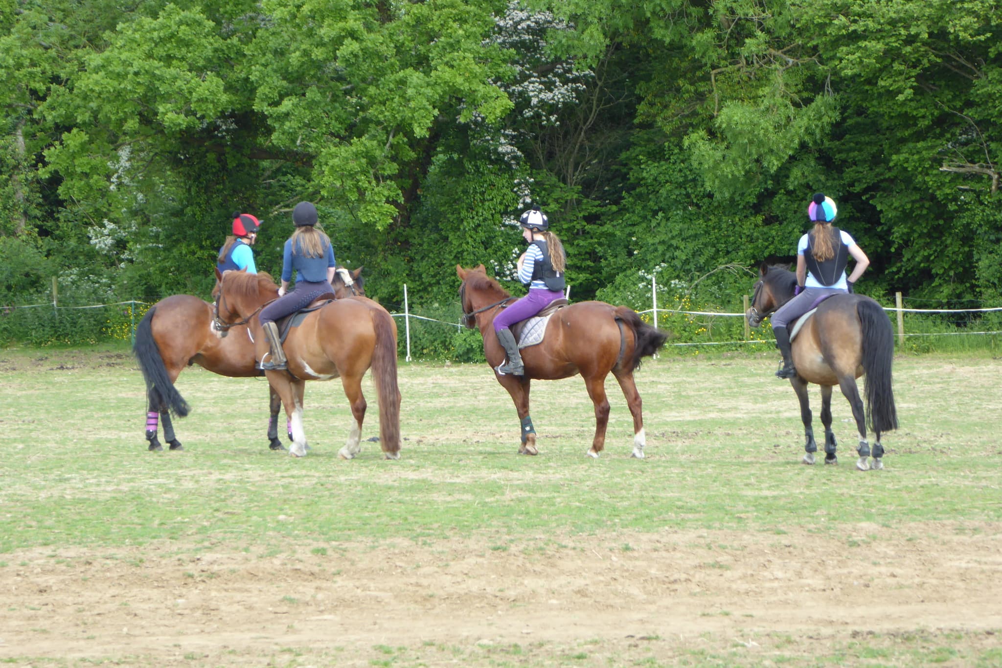 Pevlings Farm Riding and Livery Stables - Photo 1