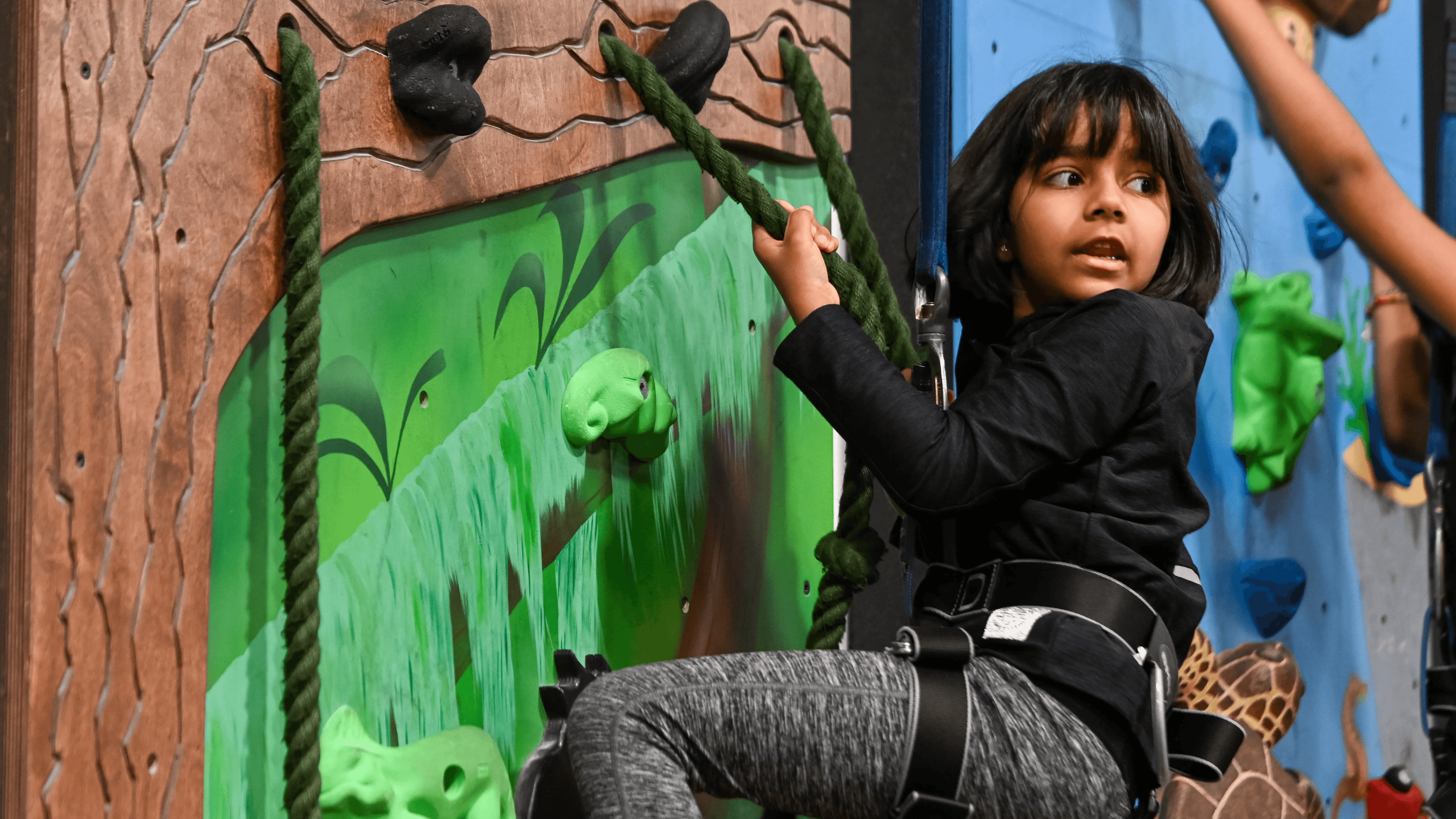 HarroWall Indoor Climbing Centre - Photo