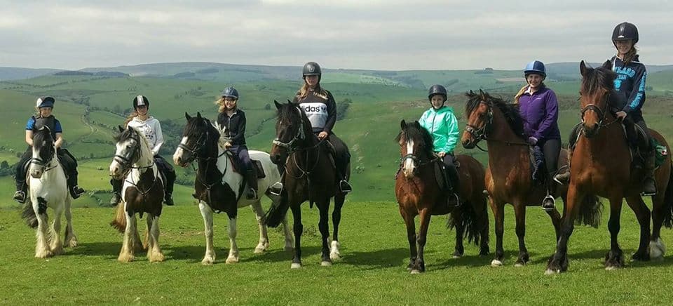 Springhill Farm Riding Stables