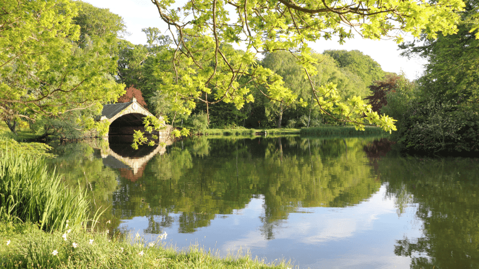 Gosford Forest Park Armagh