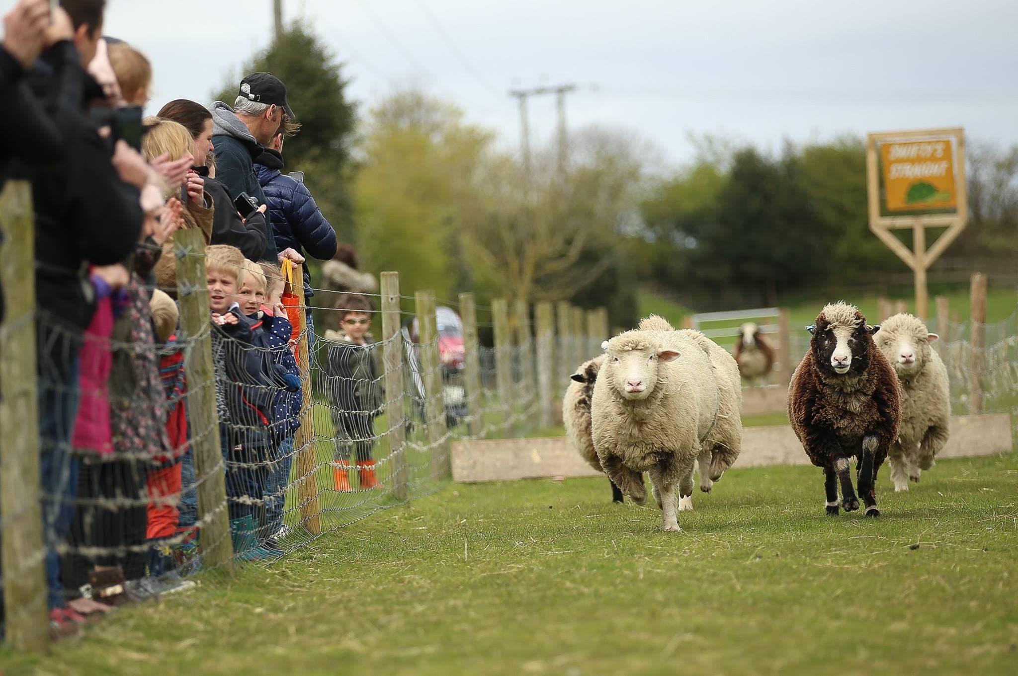 White Post Farm Centre - Photo 1