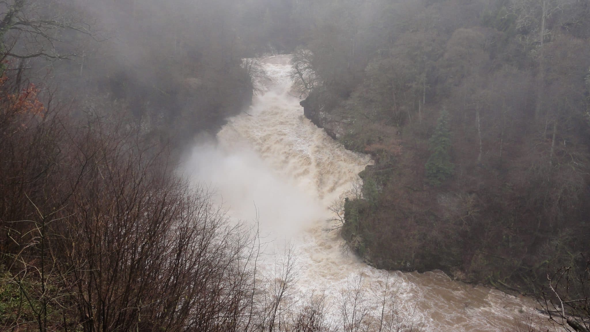 Falls of Clyde Wildlife Reserve - Photo