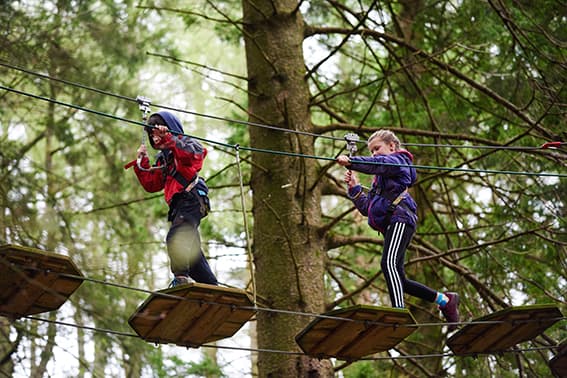 Go Ape Grizedale