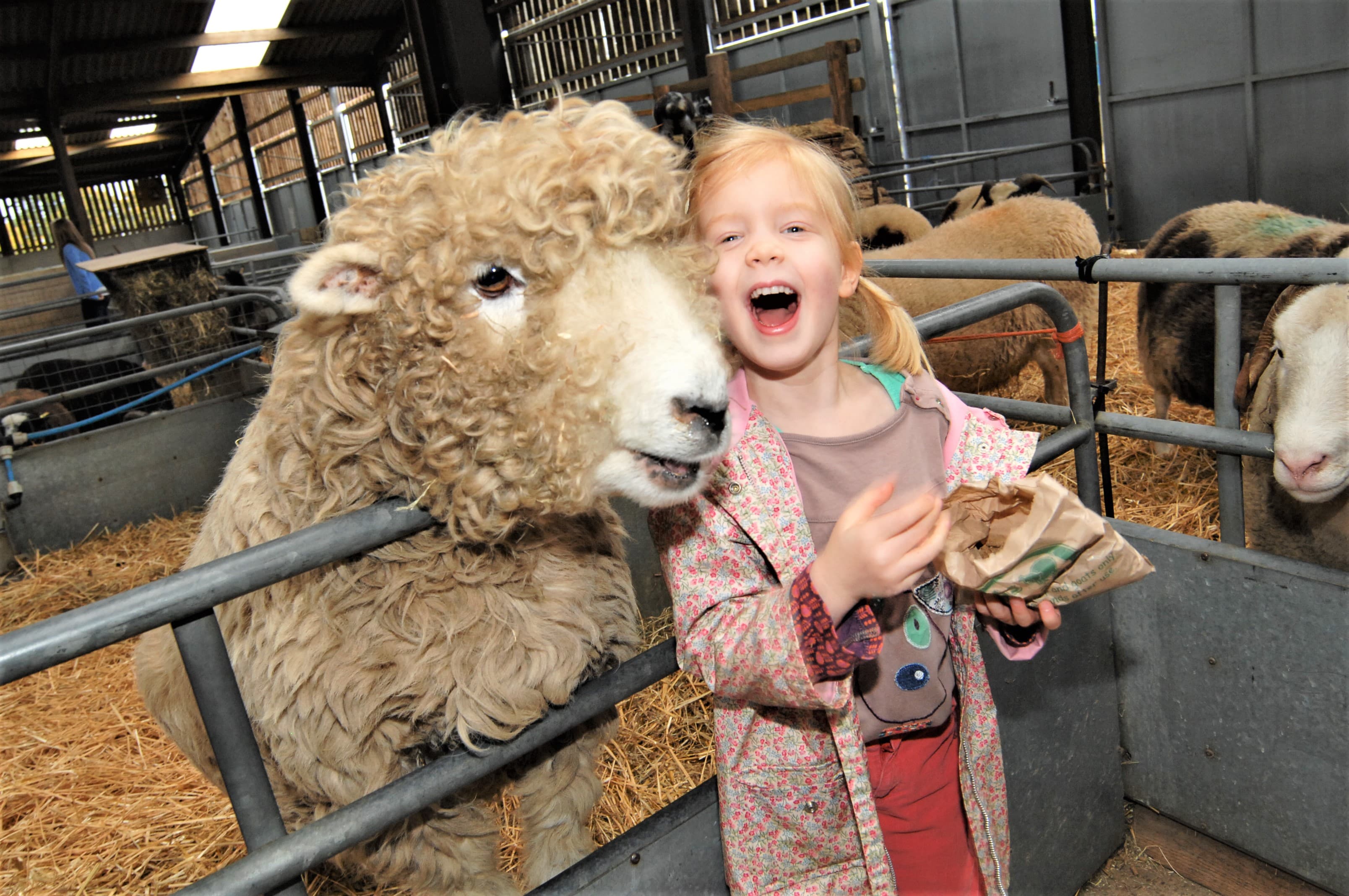 Odds Farm Park
