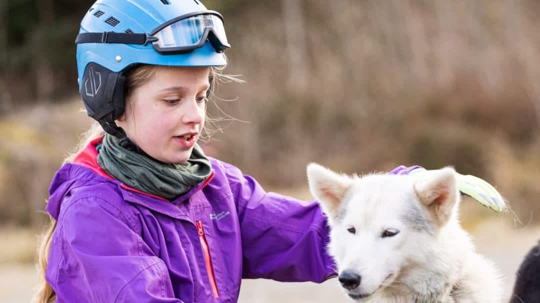 Mynydd Sleddog Adventures Ltd - Photo