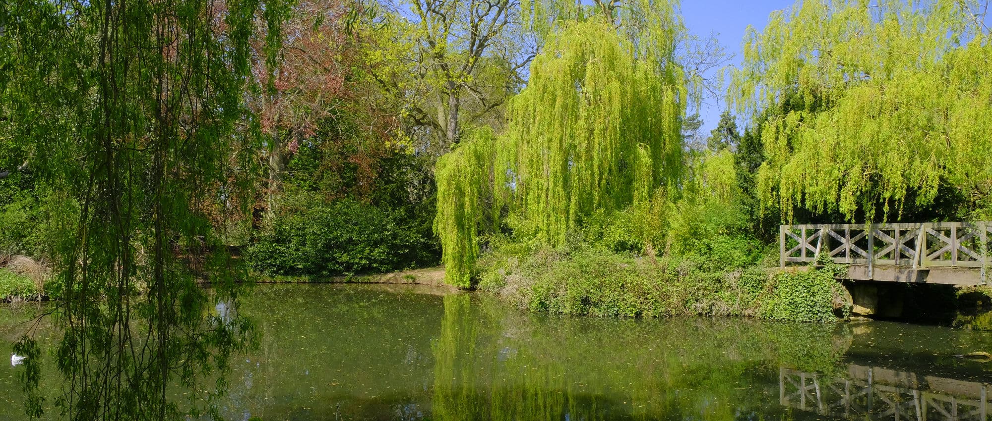Stewart Park