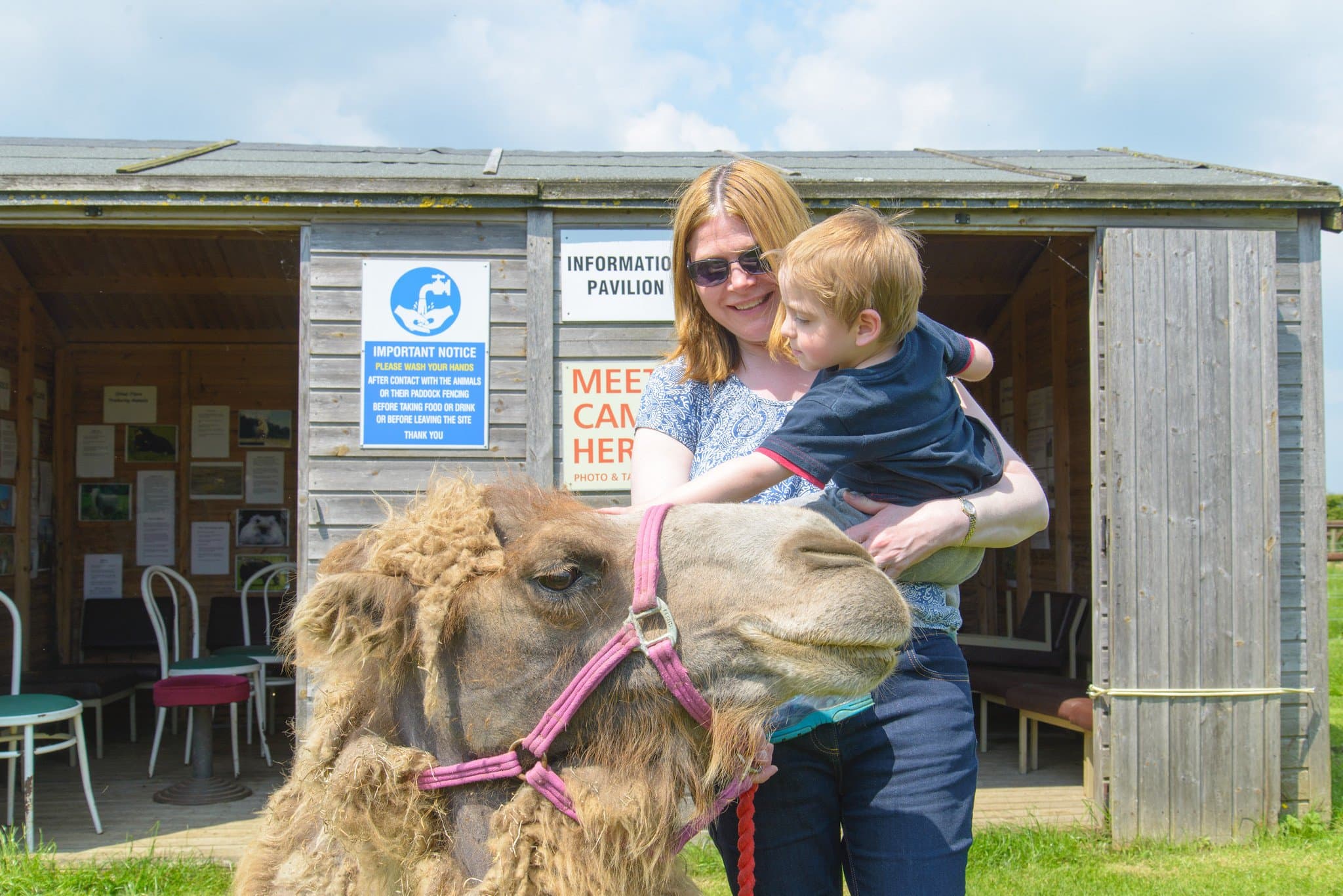 Camel Park Oasis
