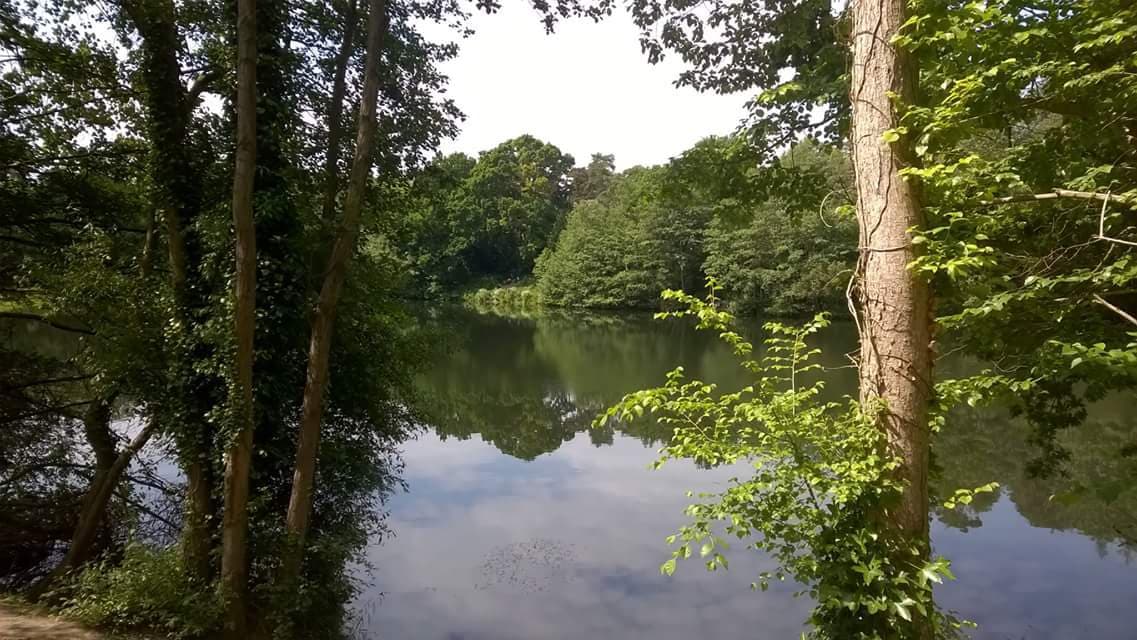 Alexandra Park Hastings