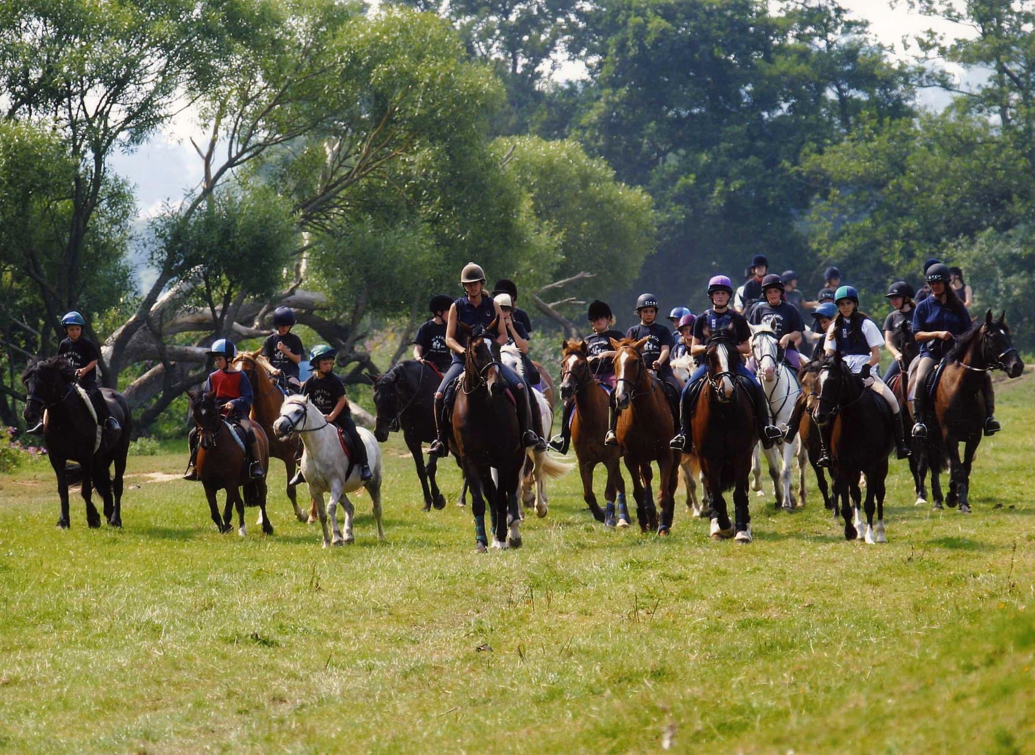 Budleigh Salterton Riding School