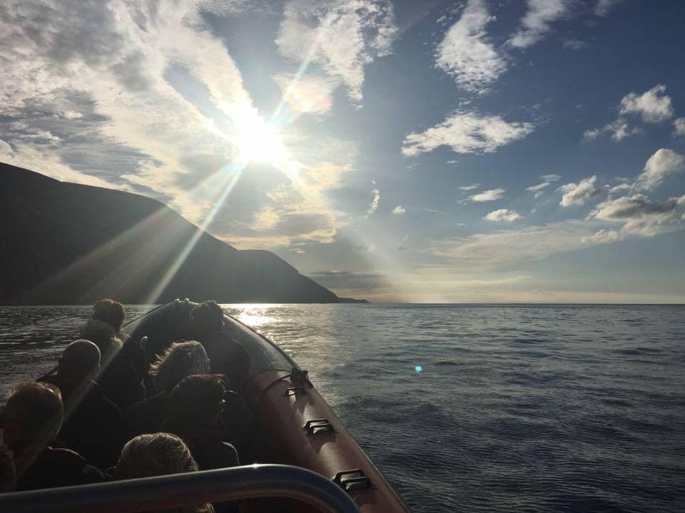 Ilfracombe Sea Safari