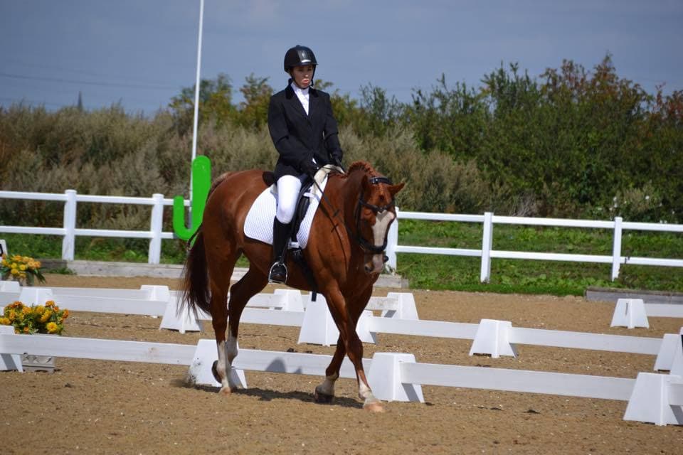 Brook Stables Riding School - Photo 1