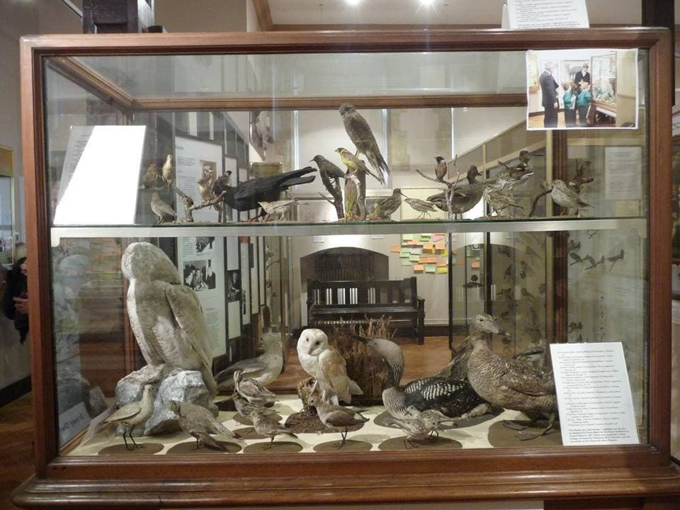 Museum of Eton Life