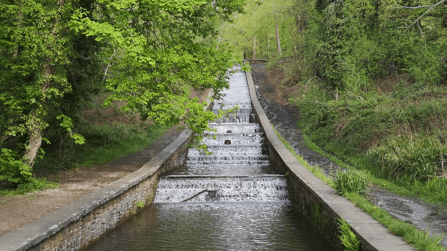 Gnoll Estate Country Park - Photo
