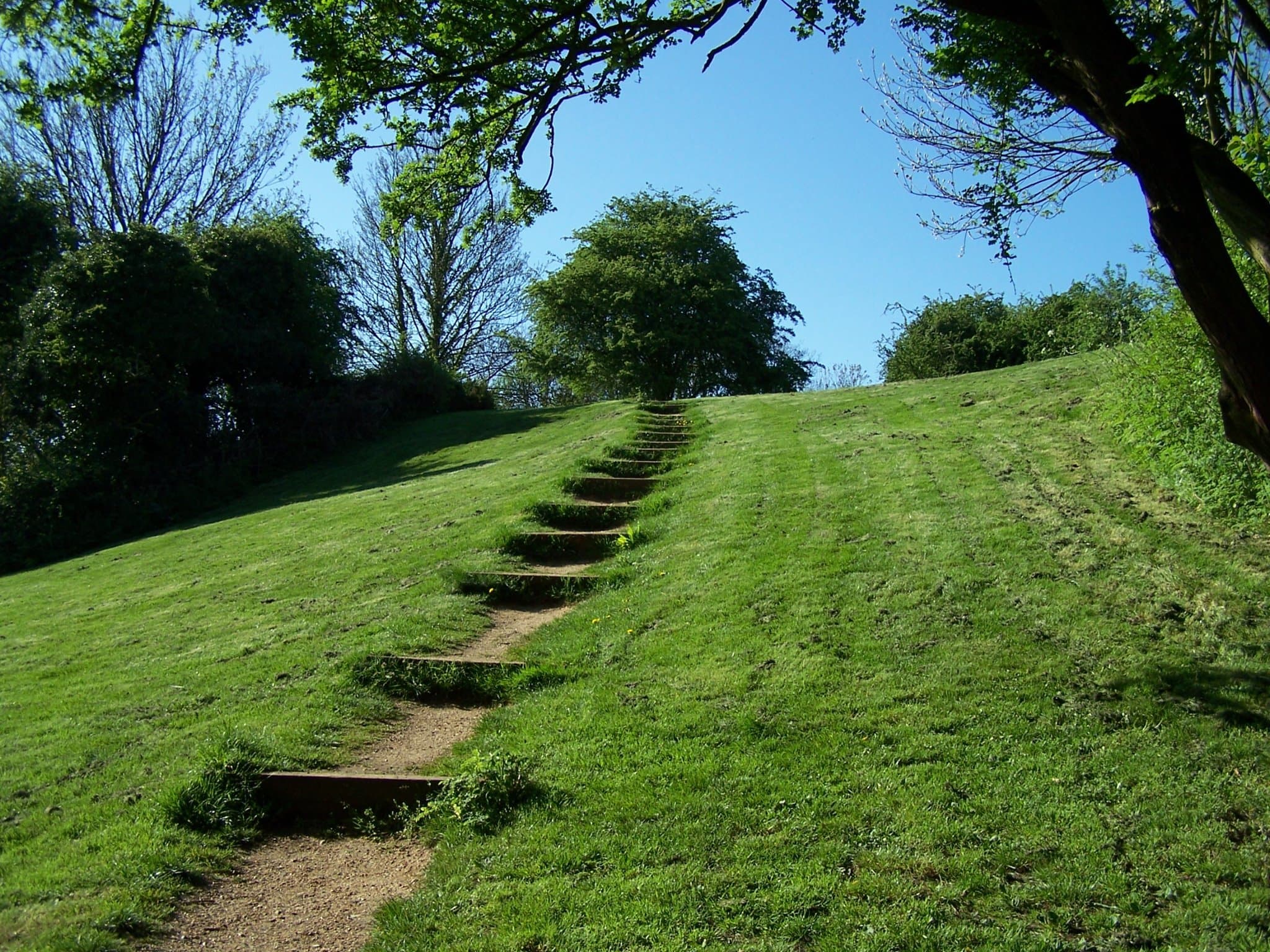 Rayleigh Mount
