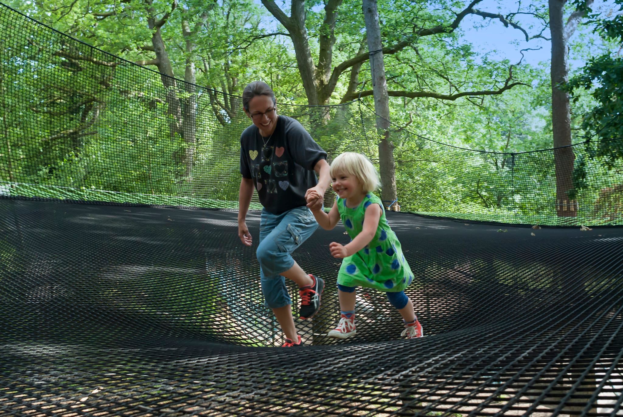 Treetop Nets - Photo