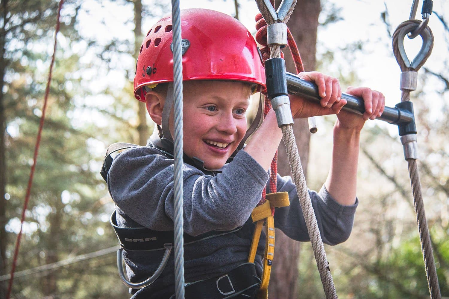 New Forest Activities - Photo